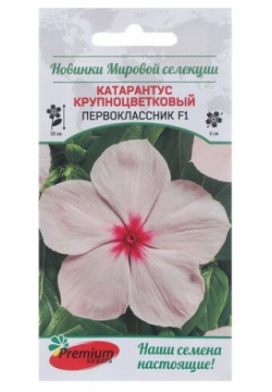 Семена Premium seeds Катарантус крупноцветковый Первоклассник F1  5 шт
