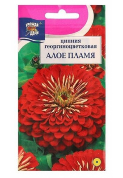 Семена цветов Цв Цинния георгин  "Алое Пламя" 0 3 гр Урожай удачи