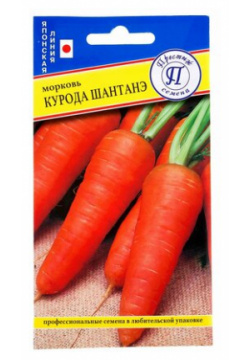 Семена Морковь «Курода шантенэ» Престиж 