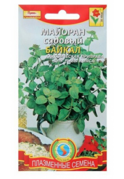 Семена Майоран садовый Байкал  0 1 г 3 шт Китай