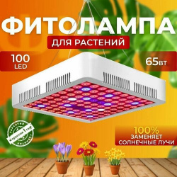 Фитолампа для выращивания растений рассады полный спектр Фитосветильник светодиодный  Лампа прожектор цветов с подвесом 100 LED 80 Ватт Светлофф