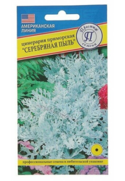 Семена цветов Цинерария "Серебряная пыль"  О 100 шт Престиж