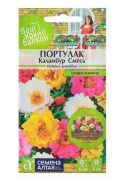 Семена цветов Портулак "Каламбур" смесь  О цп 0 1 г Алтая
