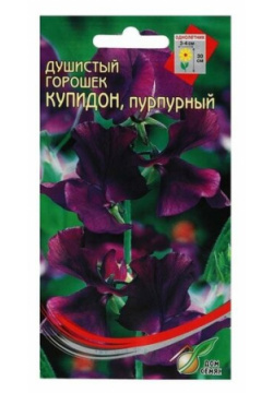 Семена цветов Горошек душистый "Купидон"  пурпурный 6 шт Дом семян Б