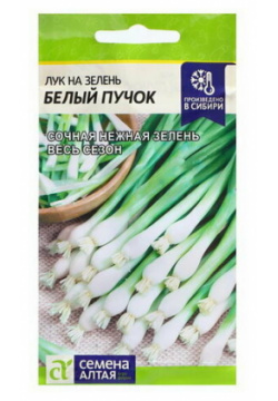 Семена Лук "Белый Пучок"  0 5 гр Алтая