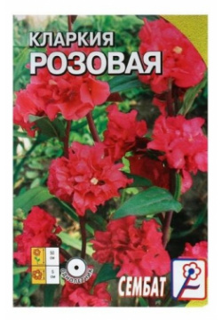 Семена цветов Кларкия Розовая  0 2г СЕМБАТ В комплекте 4 шт