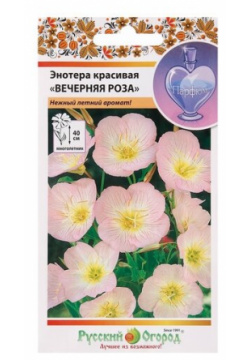 Семена Русский Огород Энотера Вечерняя роза  210 шт