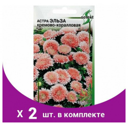 Семена цветов Астра Эльза  кремово коралловая 45 шт (2 шт) Нет бренда