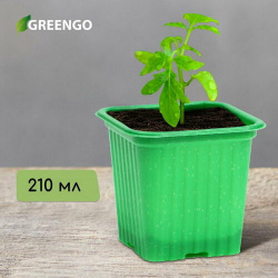 Горшок для рассады  210 мл d = 7 см h 6 5 зелёный в наборе 10 шт Greengo