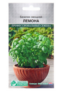 Семена Базилик овощной "Лемона"  0 3 гр (комплект из 33 шт) Евросемена