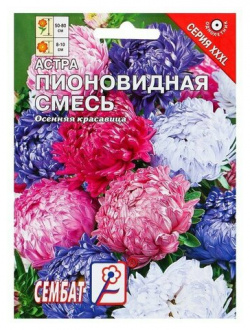 Семена цветов ХХХL Астра "Пионовидная смесь"  О 2 г (комплект из 22 шт) СЕМБАТ