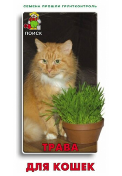 Трава для кошек 100 грам ПОИСК Травка ваших домашних животных