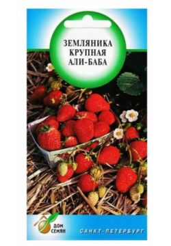 Земляника Али Баба  60 семян Дом Растение с крупными ароматными ягодами
