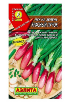 Семена Агрофирма АЭЛИТА Лук на зелень Красный пучок 0 3 г по типу: