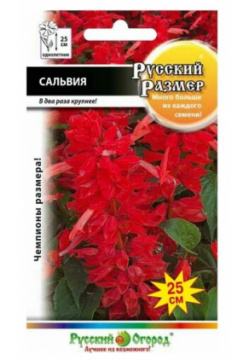 Семена  Цветы Сальвия "Русский размер" (20 штук) Русский Огород