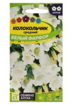 Семена цветов Колокольчик Белый Фарфор  0 1 г Алтая Эффектноцветущий двулетник