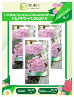 Комплект семян Пеларгония зональная Шоколадница нежно розовая комнатн  х 3 шт ПОИСК