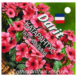 Семена цветов Дарит катарантус Тату Малина Darit 