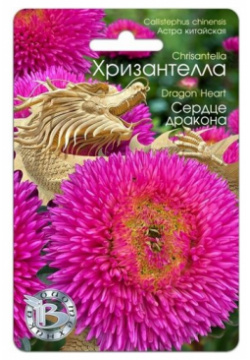Семена Астры китайской хризантелла "Сердце дракона " (30 семян) Биотехника 