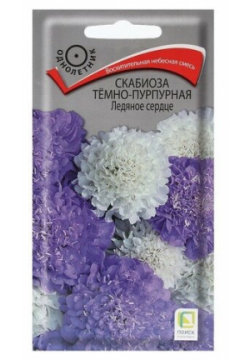 Семена цветов Скабиоза темно пурпурная Ледяное сердце 10 шт 3 Нет бренда 