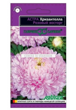 Семена  Астра Хризантелла "Розовый восторг" (10 пакетов по 0 05 г) (количество товаров в комплекте: 10) Гавриш