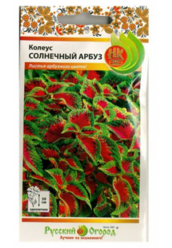 Семена  Цветы Колеус "Солнечный Арбуз" (3 штуки) Русский Огород Внимание
