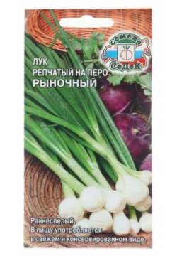 Семена Лук на перо "Рыночный"  1 г СеДек