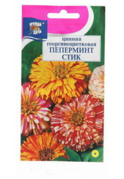 Семена цветов Цинния "Пеперминт Стик"  смесь 0 3 г шт Сима ленд