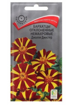 Семена цветов Бархатцы отклоненные немахровые "Джолли Джестер"  0 2 г 4 уп Нет бренда
