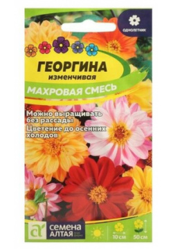 Семена цветов Георгина "Махровая"  смесь окрасок Сем Алт ц/п 0 2 г уп Нет бренда
