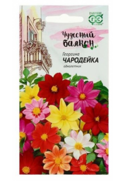 Семена цветов Георгина "Чародейка"  смесь серия Чудесный балкон 0 3 г 4 уп Нет бренда