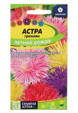 Семена цветов Астра гремлин "Летний дождь"  смесь Сем Алт ц/п 0 2 г (комплект из 41 шт) Алтая