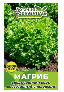 Семена салата Магриб  5000 шт Добрые ру Салат листовой универсальный
