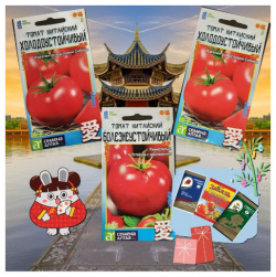 Семена китайских помидор 3 пачки семян и подарка для хорошего урожая Алтая 