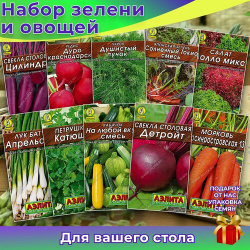 Набор семян "Зелень и овощи для салата" петрушка  укроп лук салат морковь свекла кабачок Нет бренда