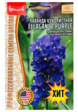 Семена Лаванды узколистной компактной "Ellagance Purple" (5 семян) Григорьев А Ю 