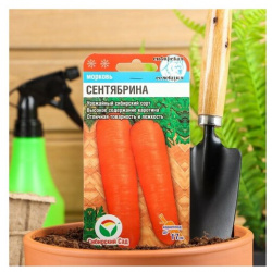 Семена Морковь "Сентябрина"  2 г уп Нет бренда Среднеспелый высокоурожайный сорт
