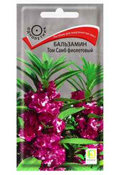 Семена цветов Бальзамин Том Самб  фиолетовый 0 1гр 4 шт Китай