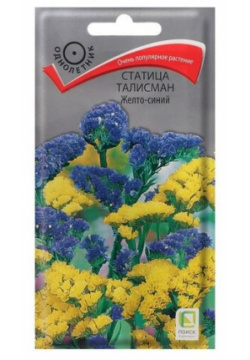 Семена цветов Статица "Талисман Желто синий"  0 1 г ПОИСК