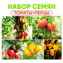 Семена томатов  перца сладкого набор семян Томаты Перцы Нет бренда