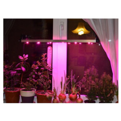 Светильник на удобных присосках для растений подоконнике "Майя" (мощность 36 Вт  длина 90 см) Агрономия XXI век