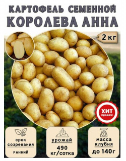 Клубни картофеля на посадку Королева Анна (суперэлита) 2 кг Ранний Калатея 