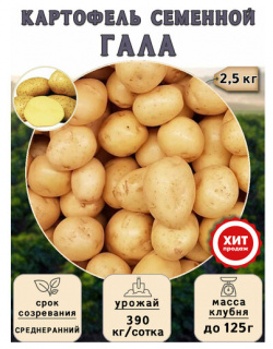 Клубни картофеля на посадку Гала (суперэлита) 2 5 кг Среднеранний Калатея 
