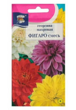 Семена цветов Георгина Смесь Фигаро 0 1 г Китай 