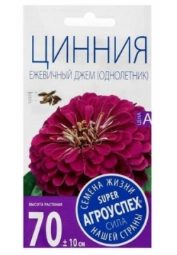 Семена цветов Цинния "Ежевичный джем"  пурпурная О 0 3 г (6 шт) Агроуспех