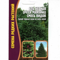 Ель Чёрная/ Picea mariana  тонкая хвоя вечнозеленое дерево ( 1 уп: 20 семян ) Григорьев