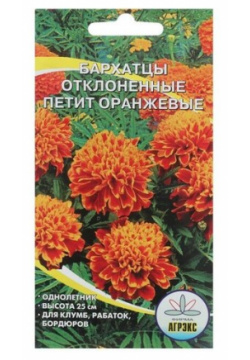 Семена Цветов однолетние Бархатцы Петит оранжевые  отклонённые махровые 0 2 г (4 шт) Нет бренда