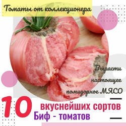 Семена томатов  10 биф сортов томаты от коллекционера Сити Огород