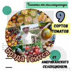 Семена томатов  9 сортов селекции Брэда Гейтса США 90 семян Сити Огород