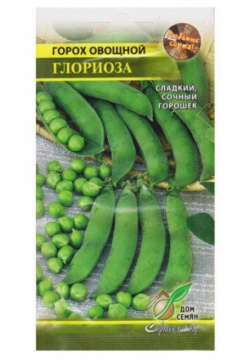Семена Горох Глориоза 40шт для дачи  сада огорода теплицы / рассады в домашних условиях Noname